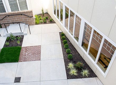 Outdoor garden area with walkway and plants