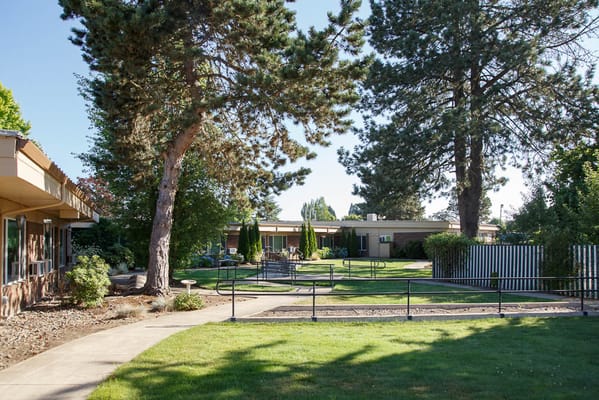 Well-maintained outdoor space with pathways and trees