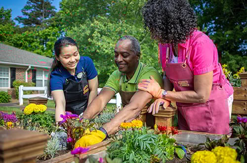 Brookdale Chambrel Roswell