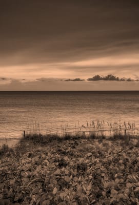 Family Extended Care of Spring Hill Nw Inc