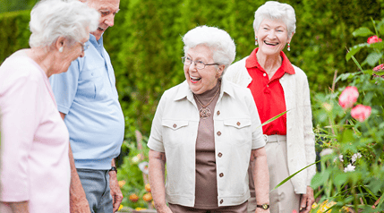 Emerald Park of Hollywood