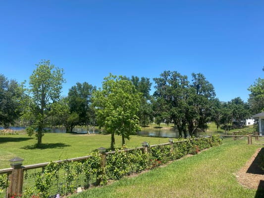 View of a scenic outdoor space with trees and water