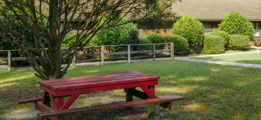 Outdoor picnic table in a well-maintained garden area