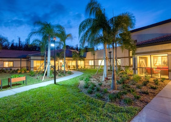 Pathway through landscaped outdoor space with palm trees