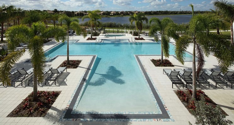 Outdoor pool area with palm trees and lounge chairs
