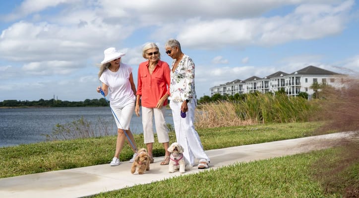 Residents walking dogs along a scenic path