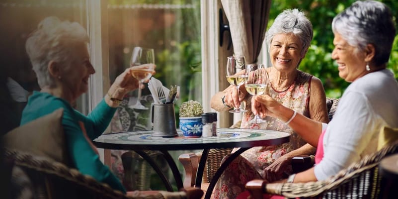 MorseLife Health System