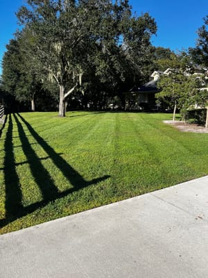 Well-maintained outdoor lawn with trees and shadows