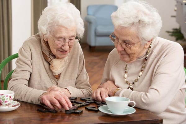 Two elderly residents playing a game together