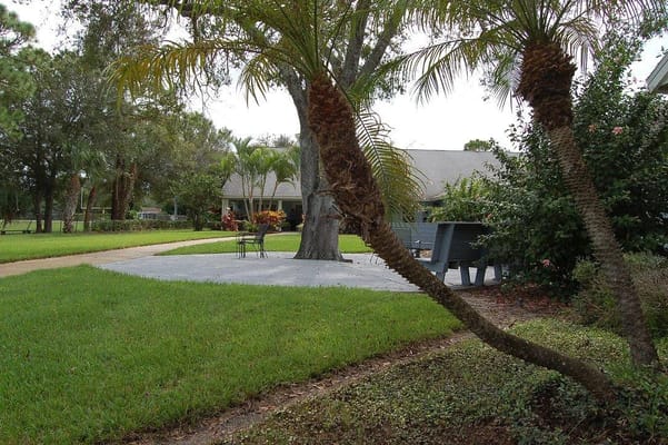 Peaceful outdoor space with palm trees and seating area