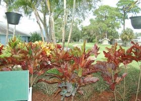 Rosewood Manor of Vero Beach, LLC