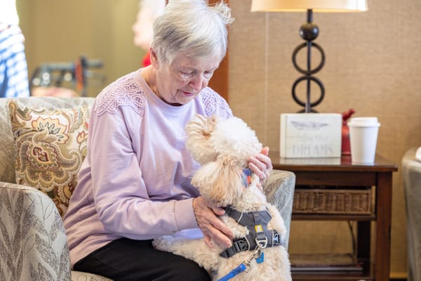 Resident interacting with a therapy dog in a cozy common area