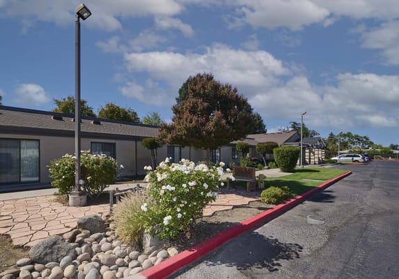 Outdoor area with a landscaped garden and seating