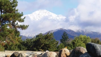 Western Assemblies Home