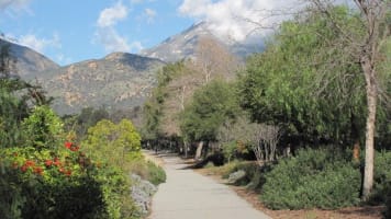 Western Assemblies Home