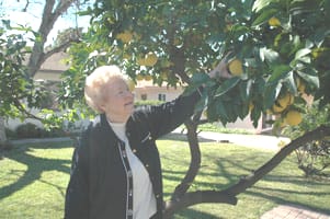 Western Assemblies Home