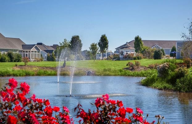 A scenic view of a pond with fountains and blooming flowers