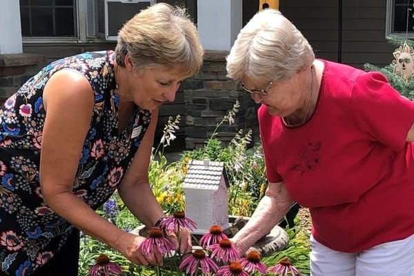 The New Homestead Care Center