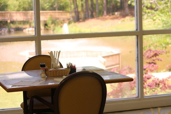 Dining area with a view by the pond