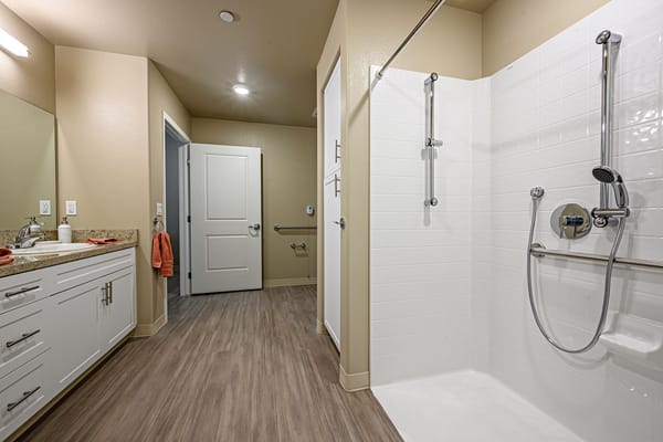 Modern assisted living bathroom with walk-in shower