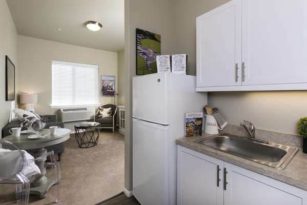 Cozy living space with kitchenette and seating area