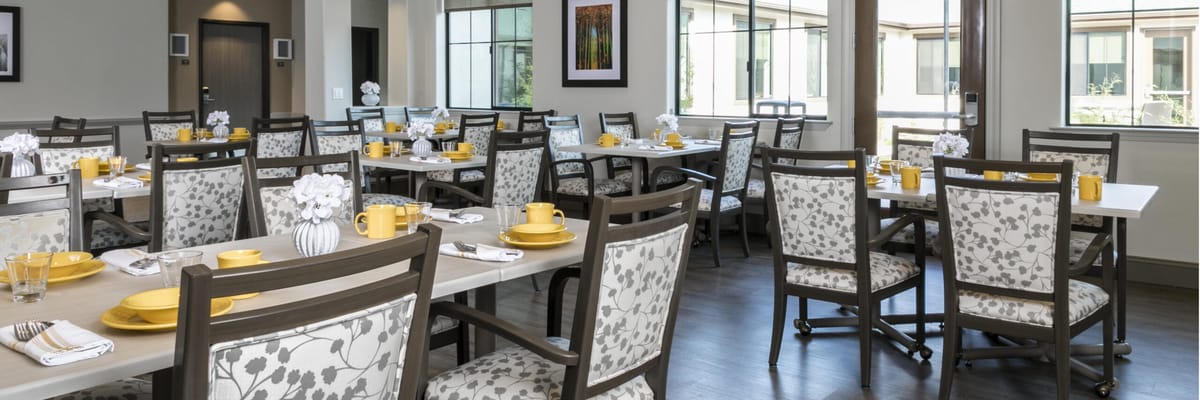 Bright dining room set for mealtime
