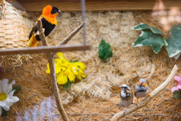 Life Care Center of Tullahoma