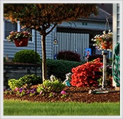 The Meadows at Ashland