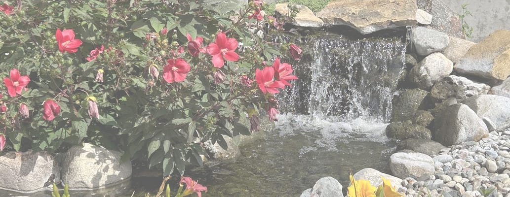 Beautiful outdoor garden with flowers and a water feature