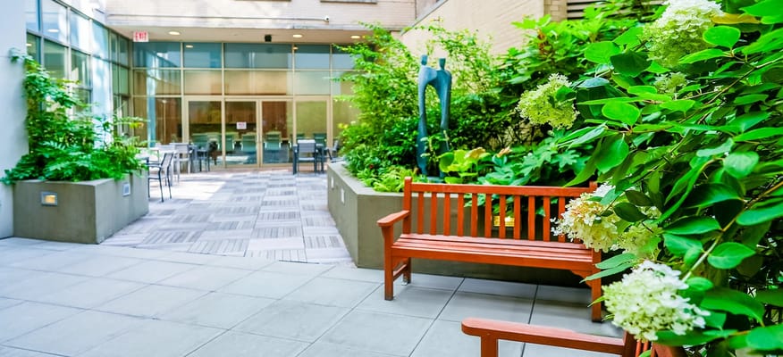 Serene outdoor garden with seating and greenery