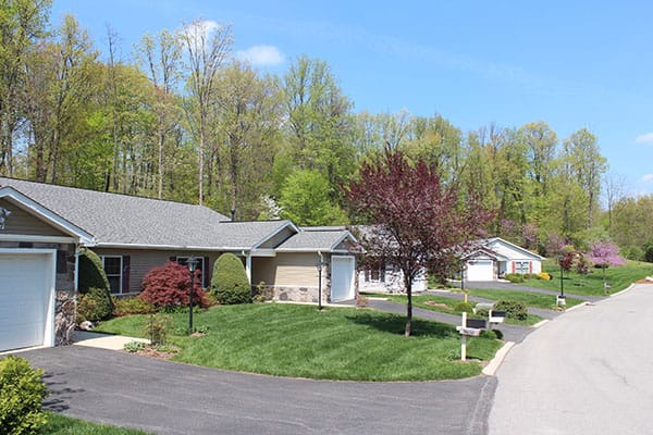 Scenic view of a residential area with trees and houses