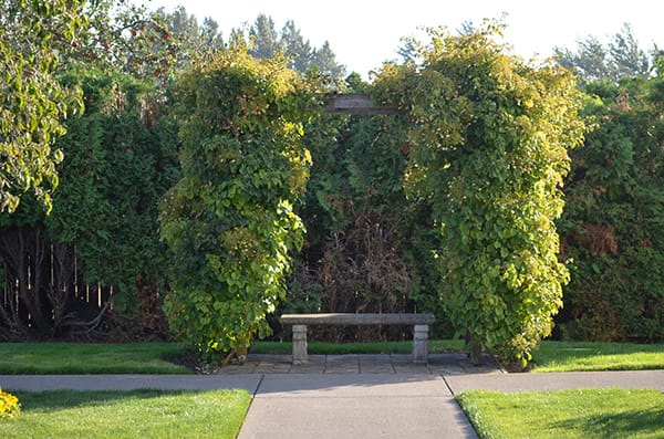 Woodland Assisted Living