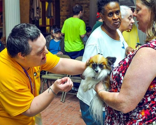 Tivoli Terrace at St Annes Salvatorian Campus