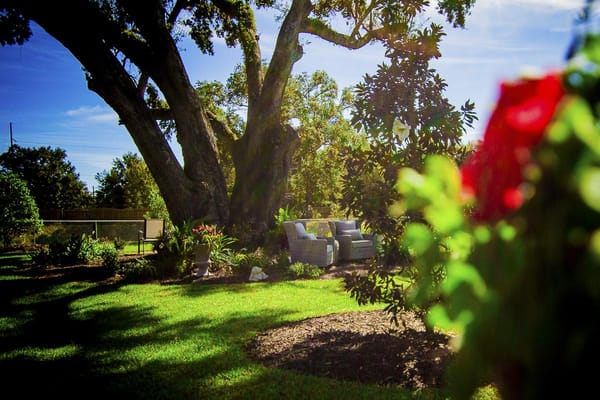 A serene outdoor space in a garden setting