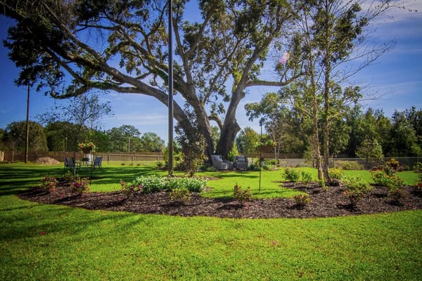 Outdoor space with seating and blooming flowers
