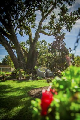A peaceful outdoor garden area with seating