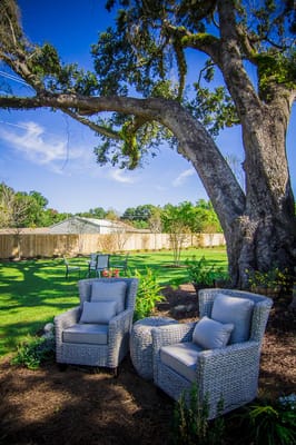 Cozy outdoor seating area under a large tree