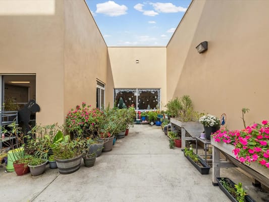 Outdoor garden area with colorful flowers and plants