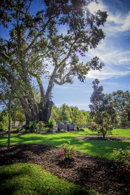Beautiful outdoor space with trees and seating