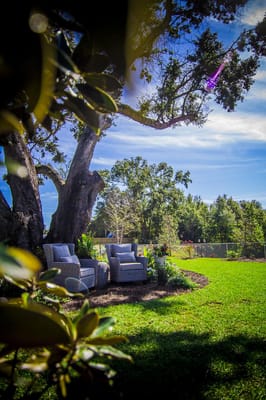 Comfortable outdoor seating area under a large tree