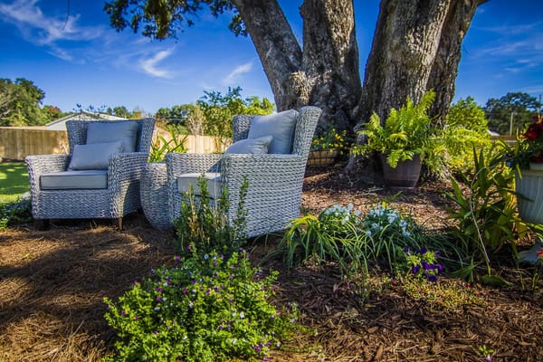 Cozy outdoor seating area under a tree