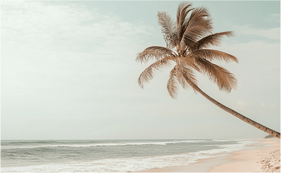 The Cascades at Delray Senior Living