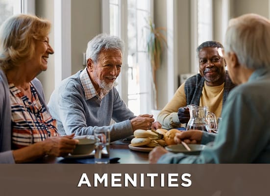 The Manor at Lake Jackson – Memory Care LLC