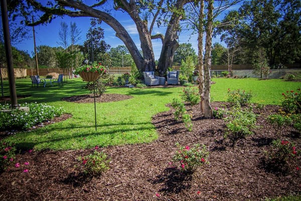 Beautiful outdoor garden area with seating