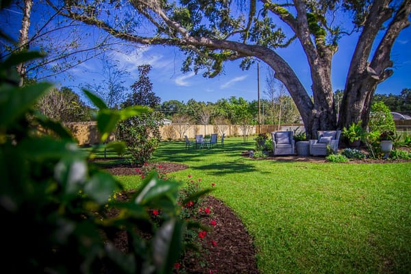 Spacious garden area with seating and lush greenery