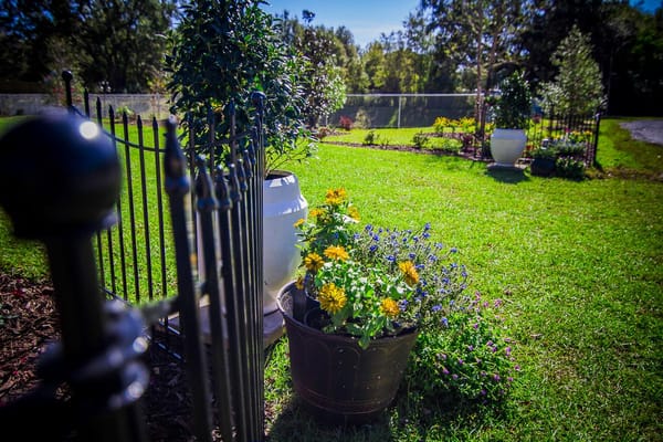 Well-maintained garden with colorful flowers