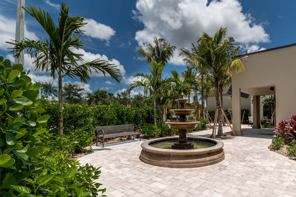 Outdoor courtyard with a fountain and palm trees