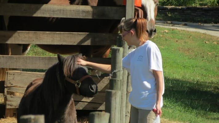 Staff member interacting with a pony in an outdoor space