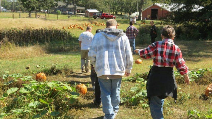 Residents participating in an outdoor pumpkin patch activity