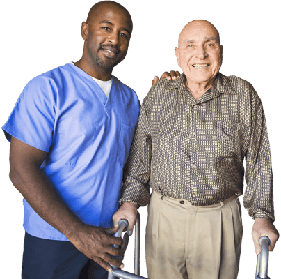 Majestic Visions Alliances